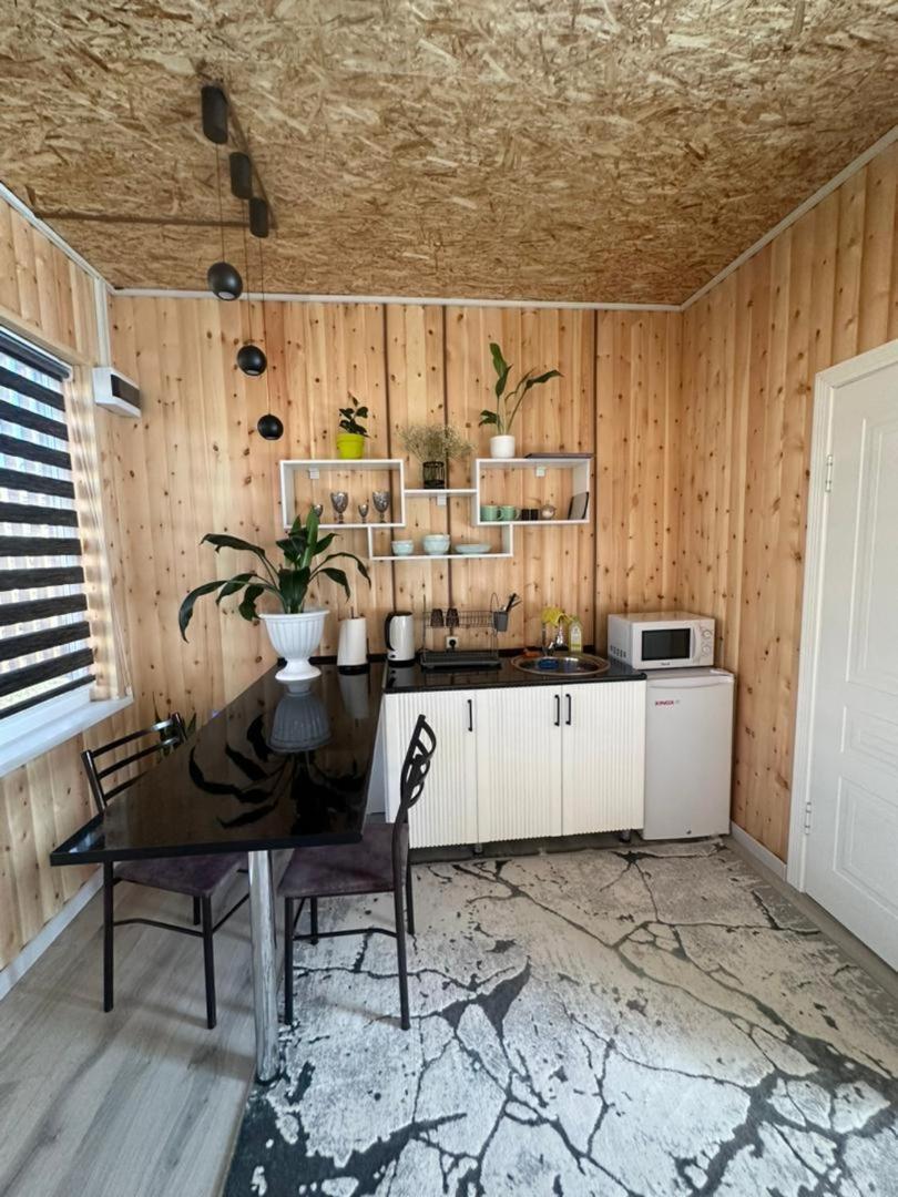 Vavilon Apartman Karakol Kültér fotó